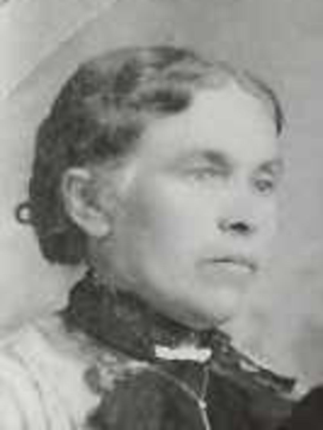 Annetta Matilda Jensen (1853 - 1922) Profile
